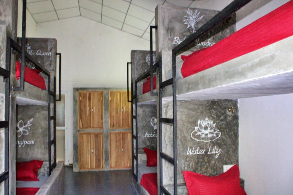 Hostel gallery 24